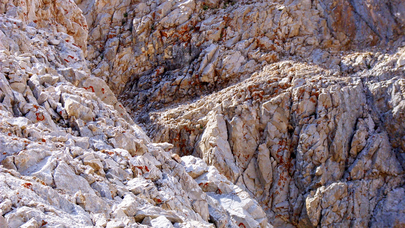 image107