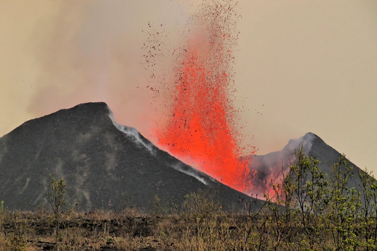 image17