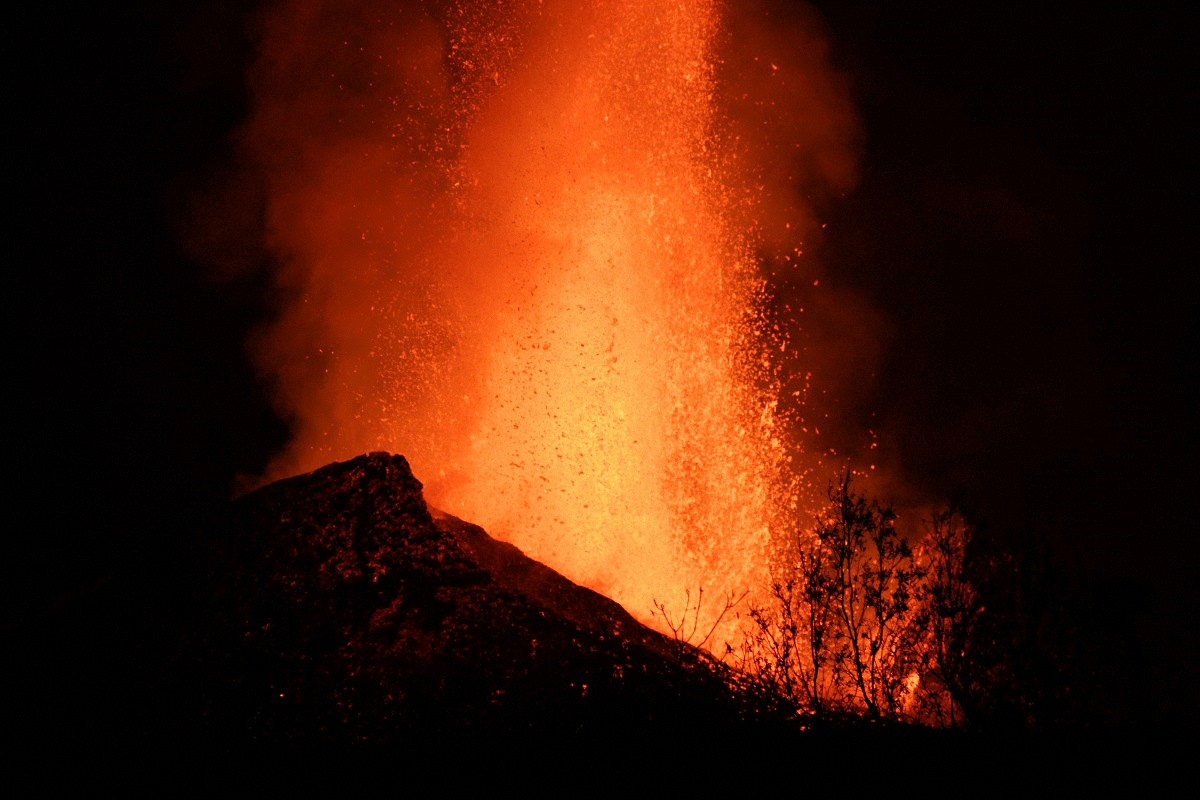 image44