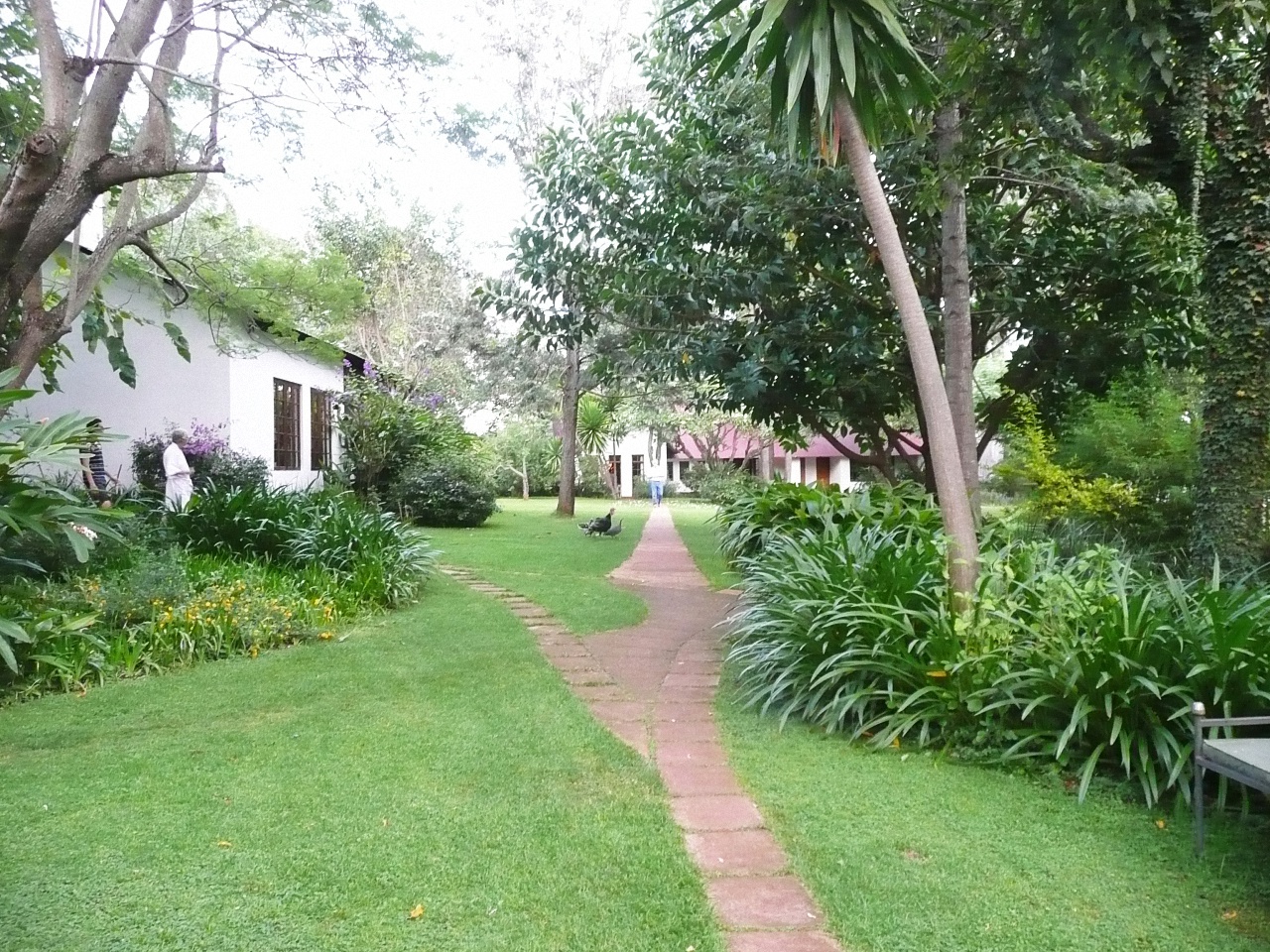 image6