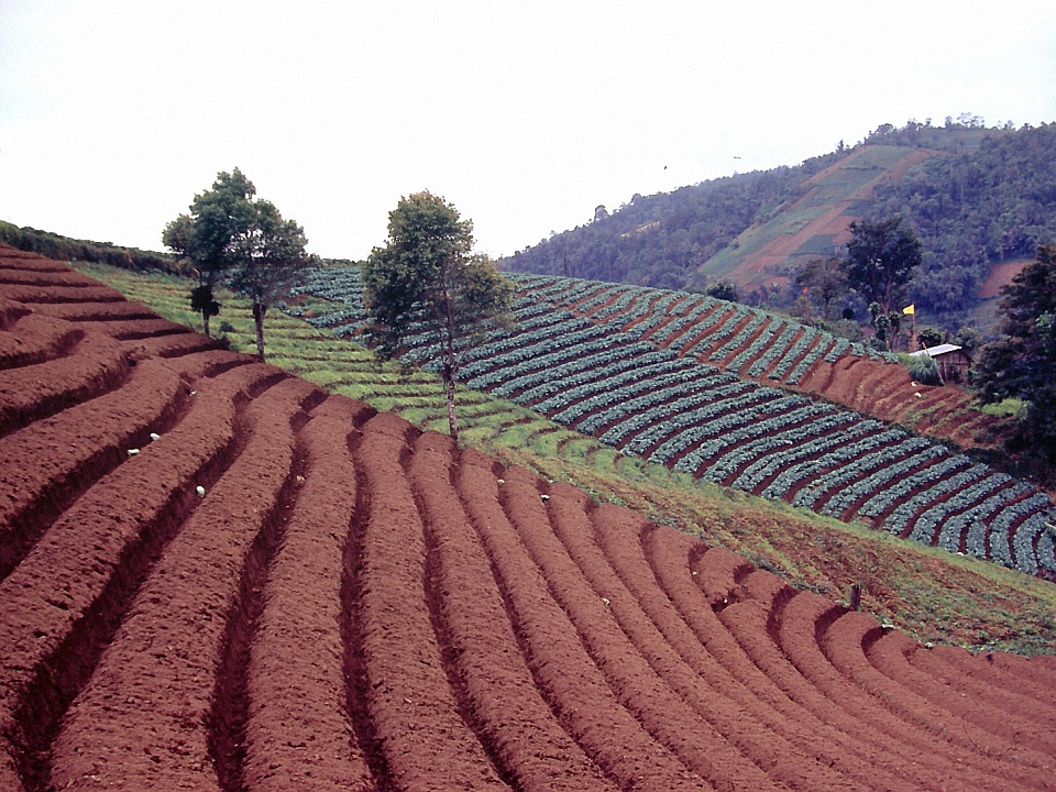 image15