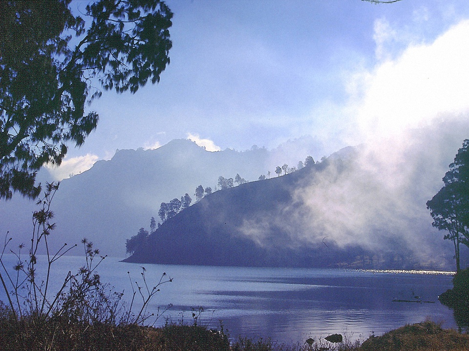 image300