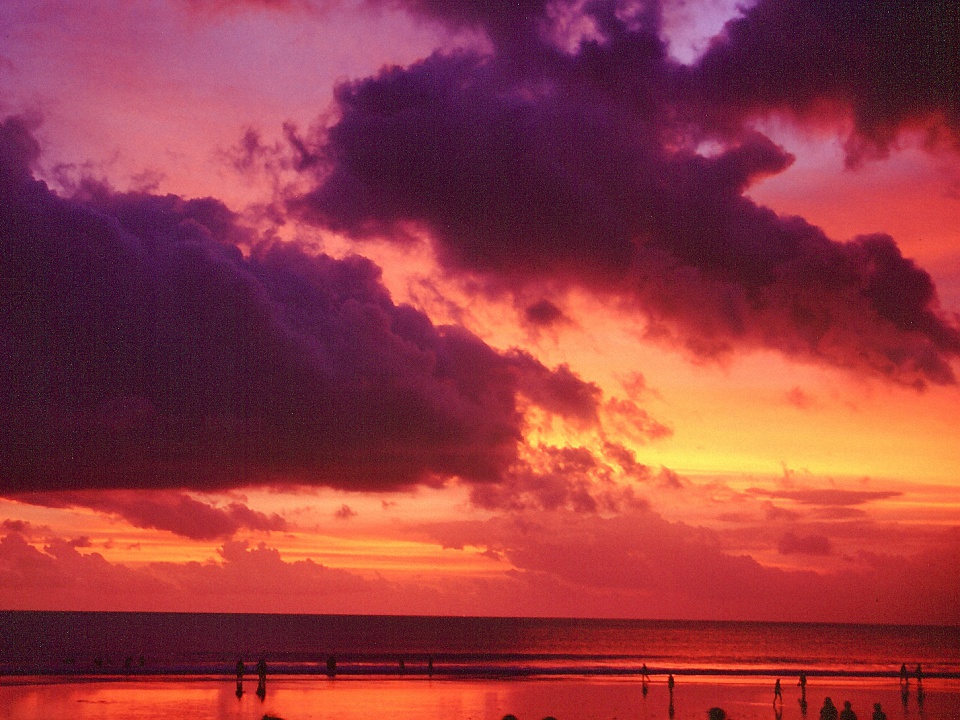 image4