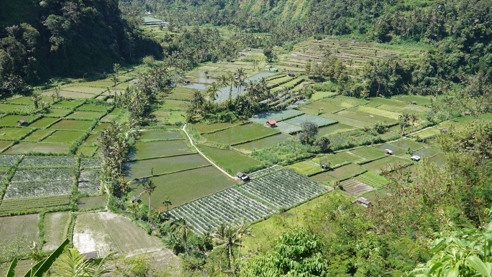image1