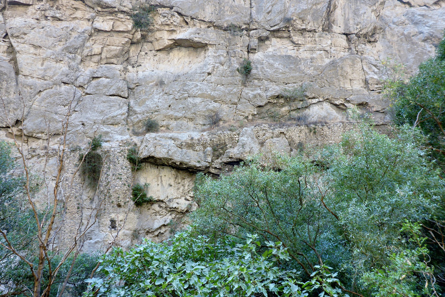 image9