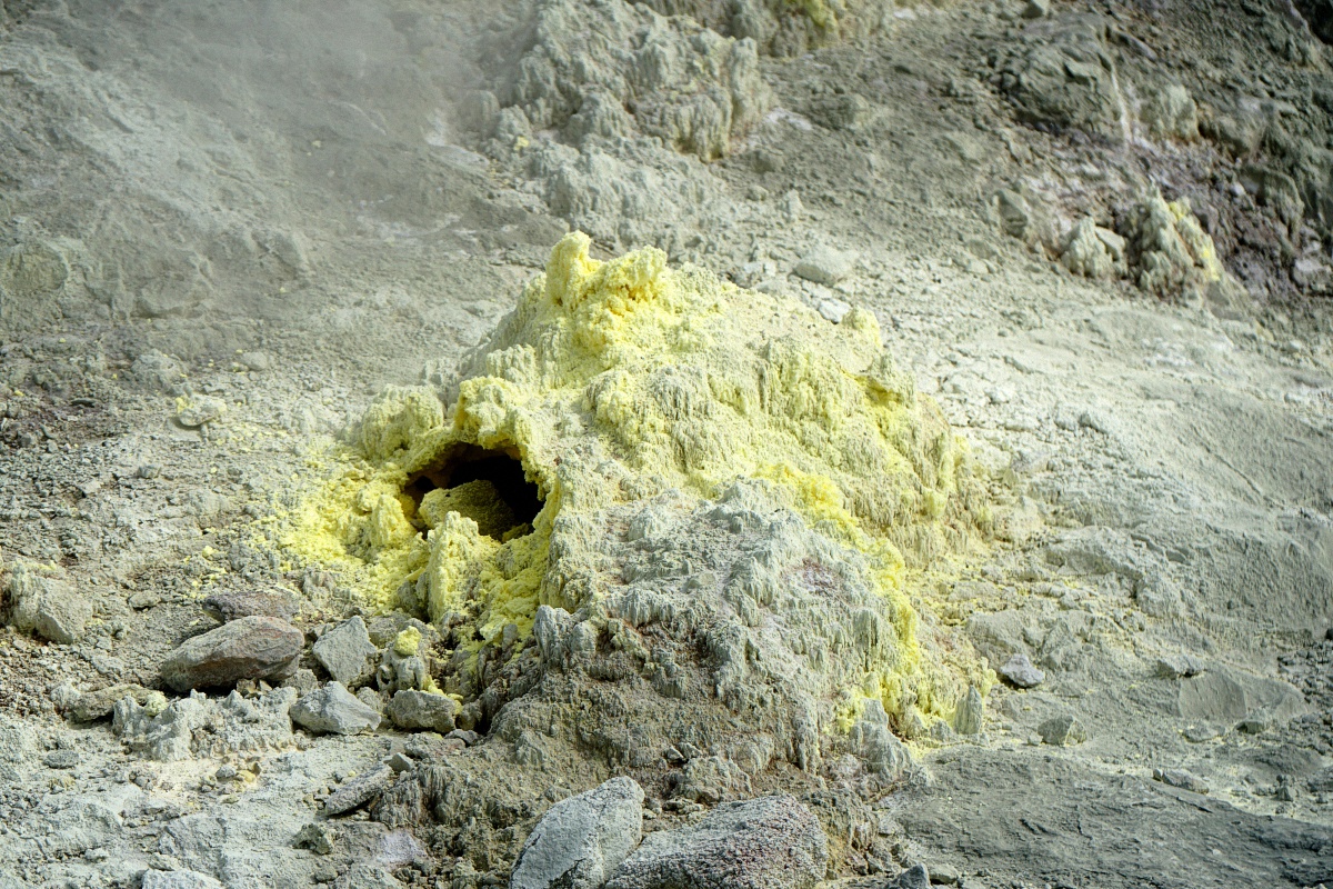image14
