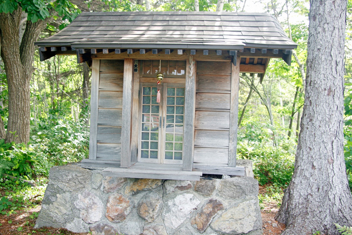 image19