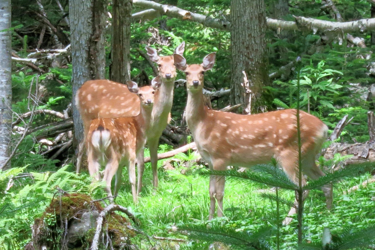 image3