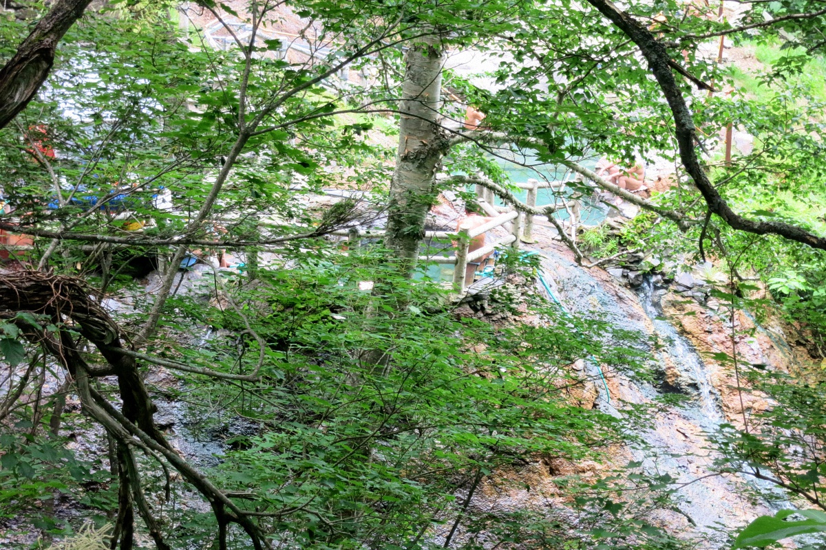 image8