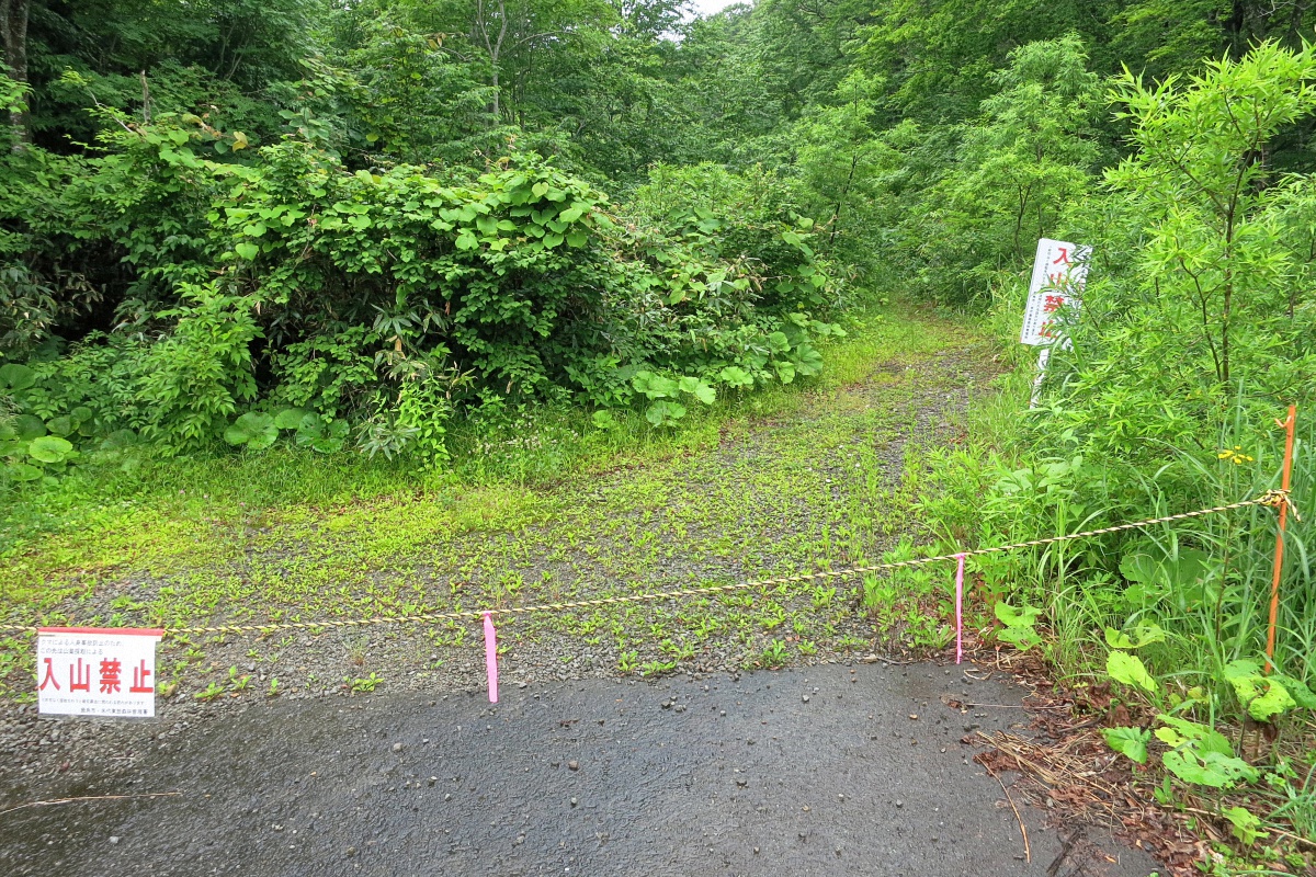 image15