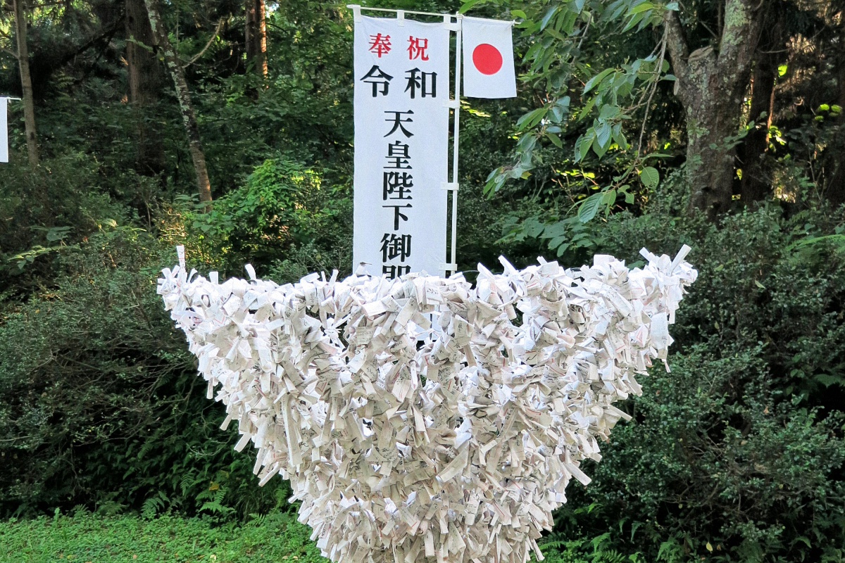 image15