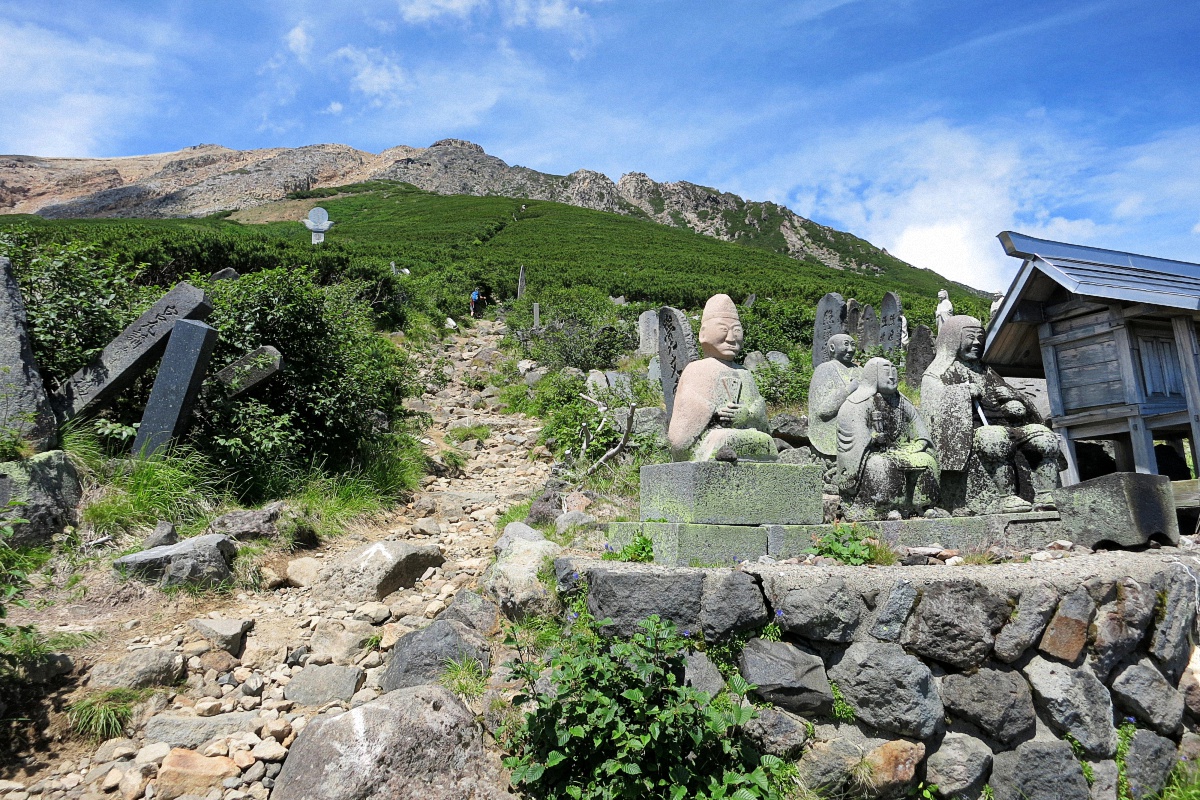 image8