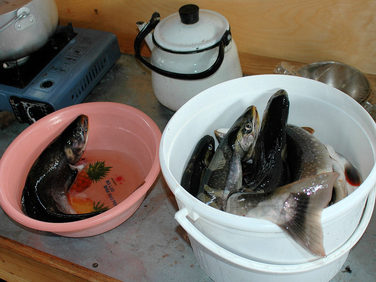 image102