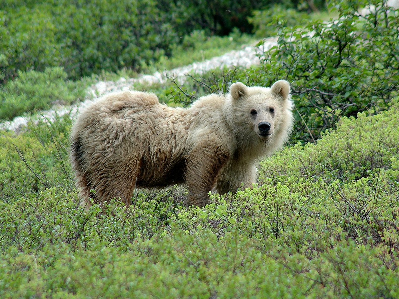 image91