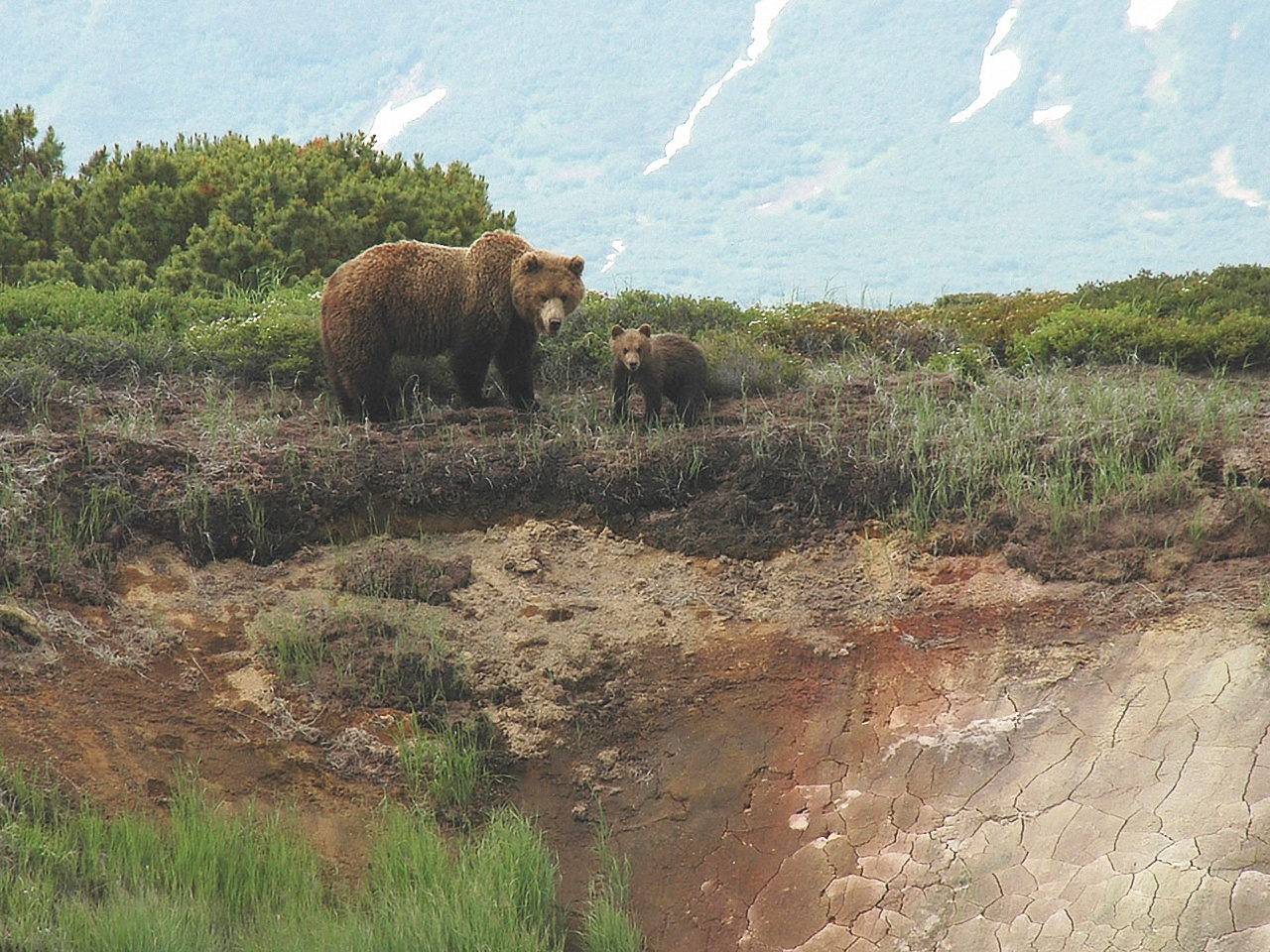 image95
