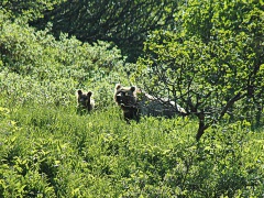 thumbnail78
