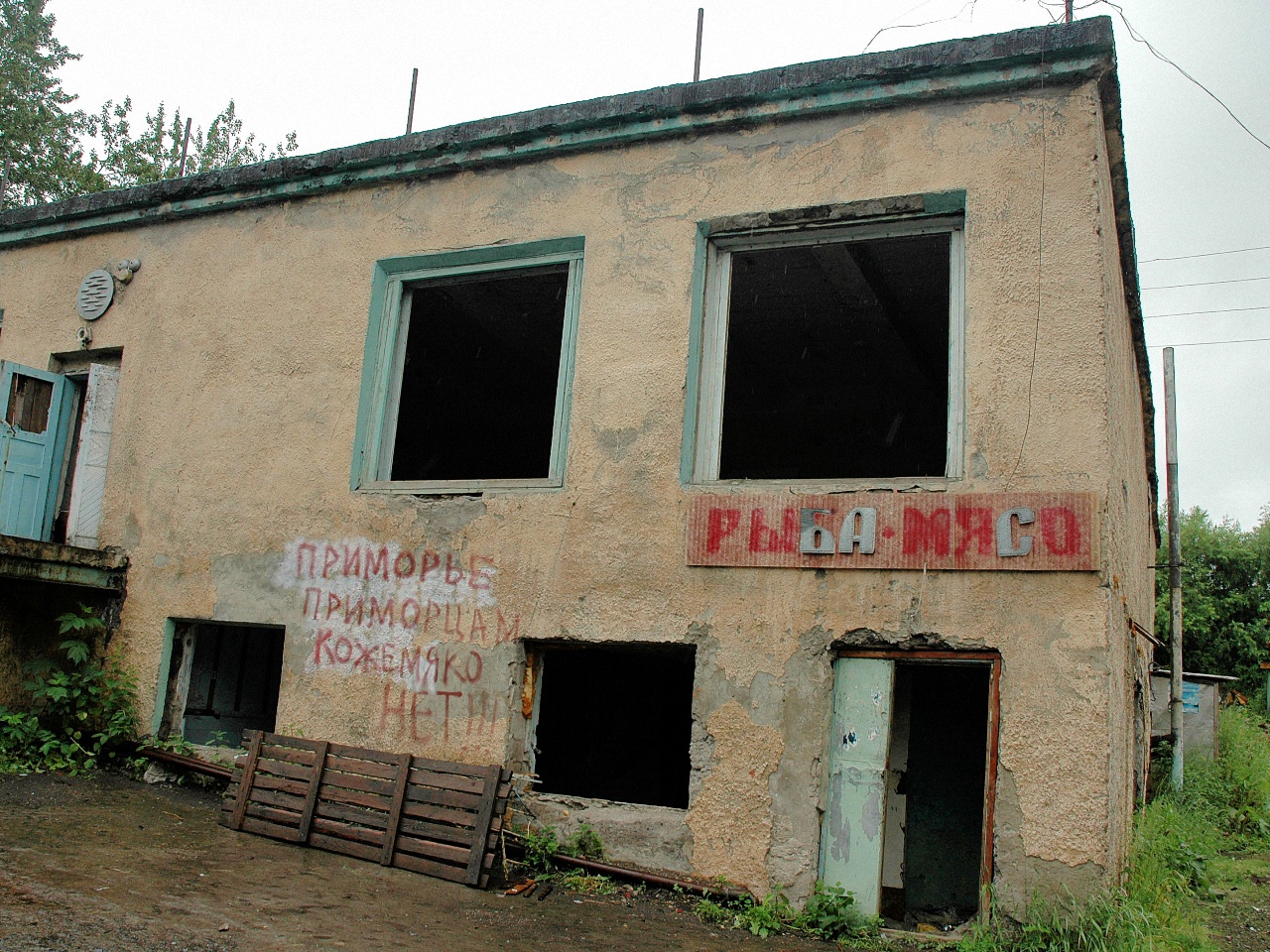 image15