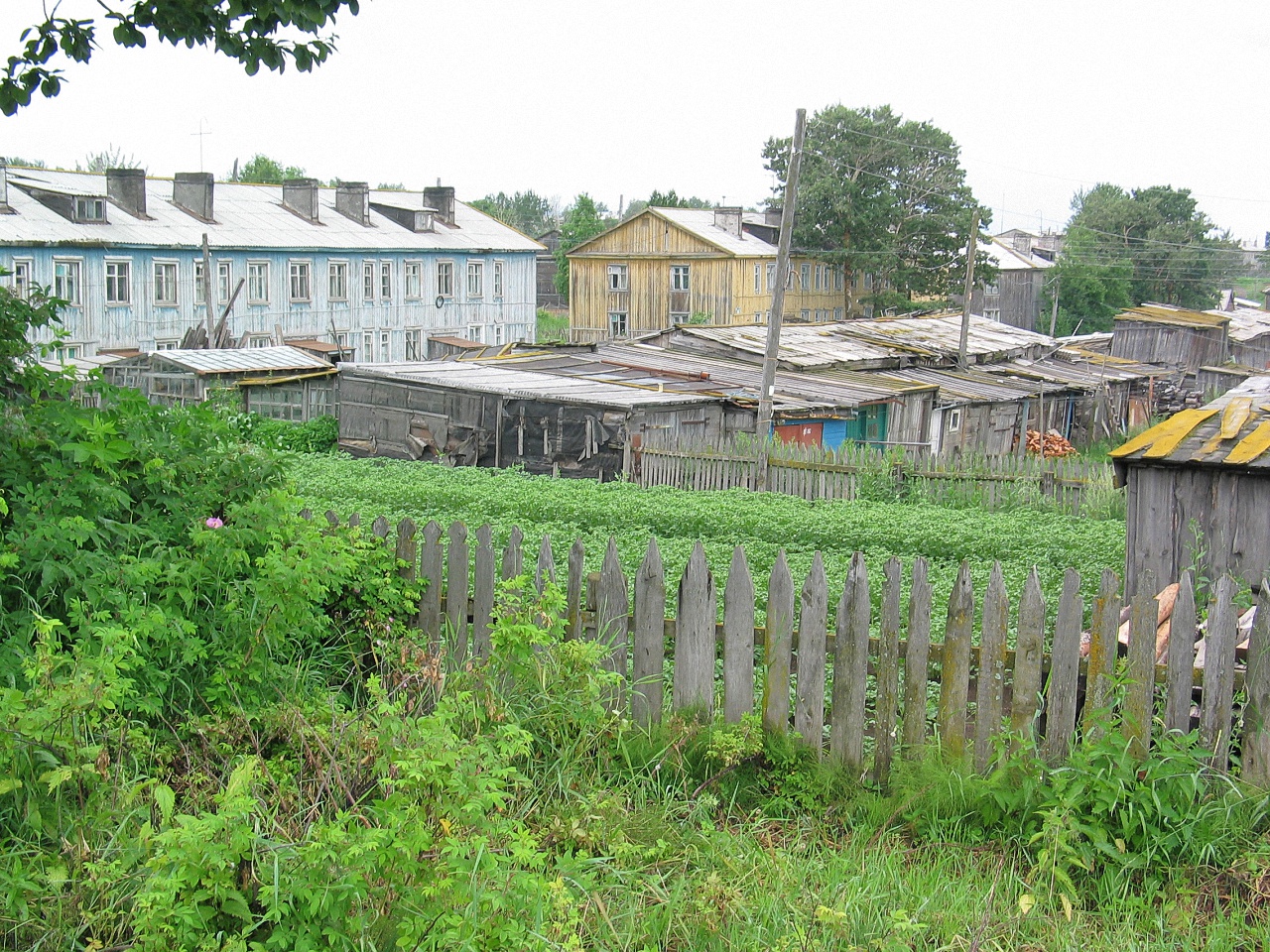 image18
