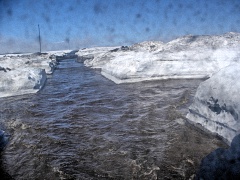 thumbnail11