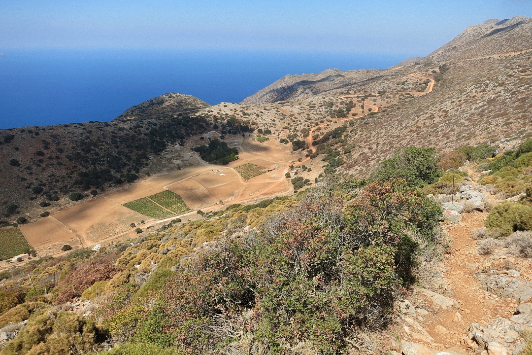 image1