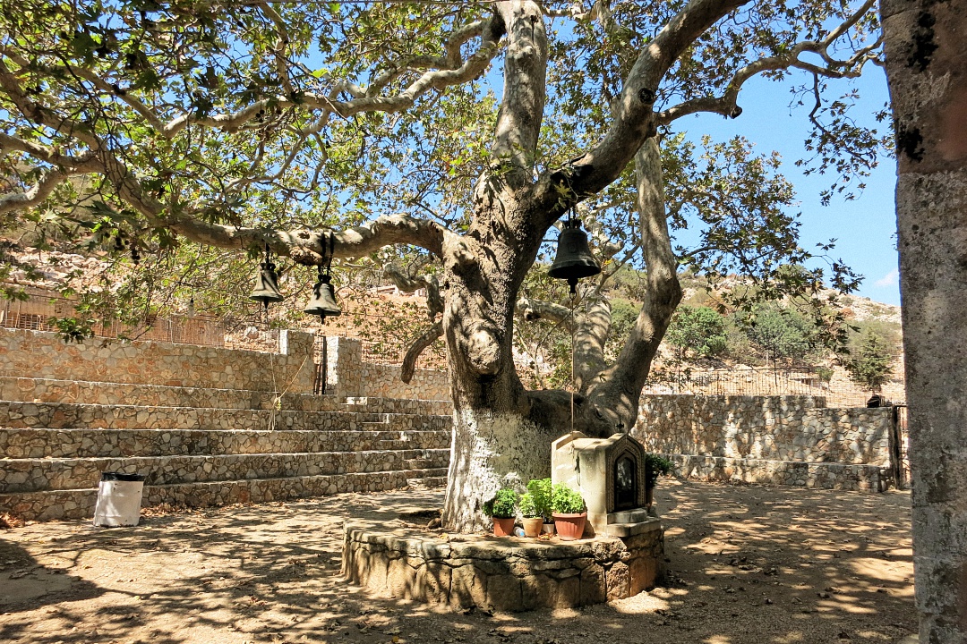 image1