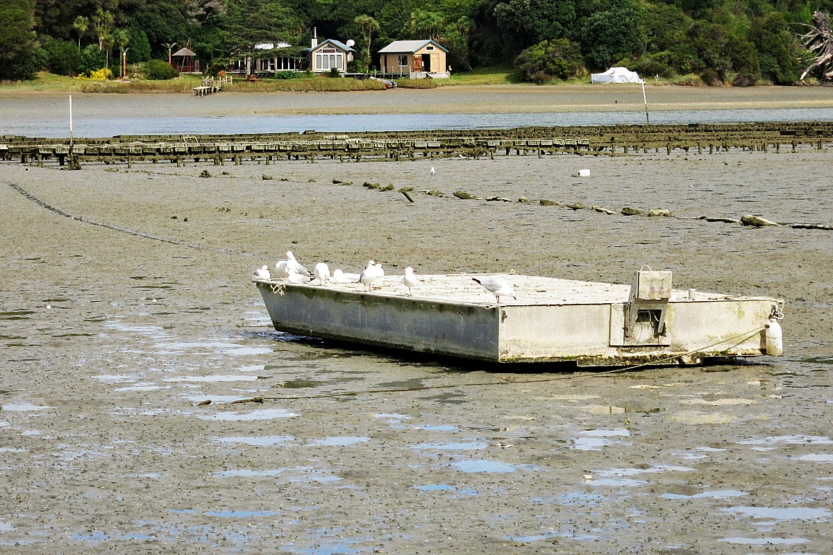 image29