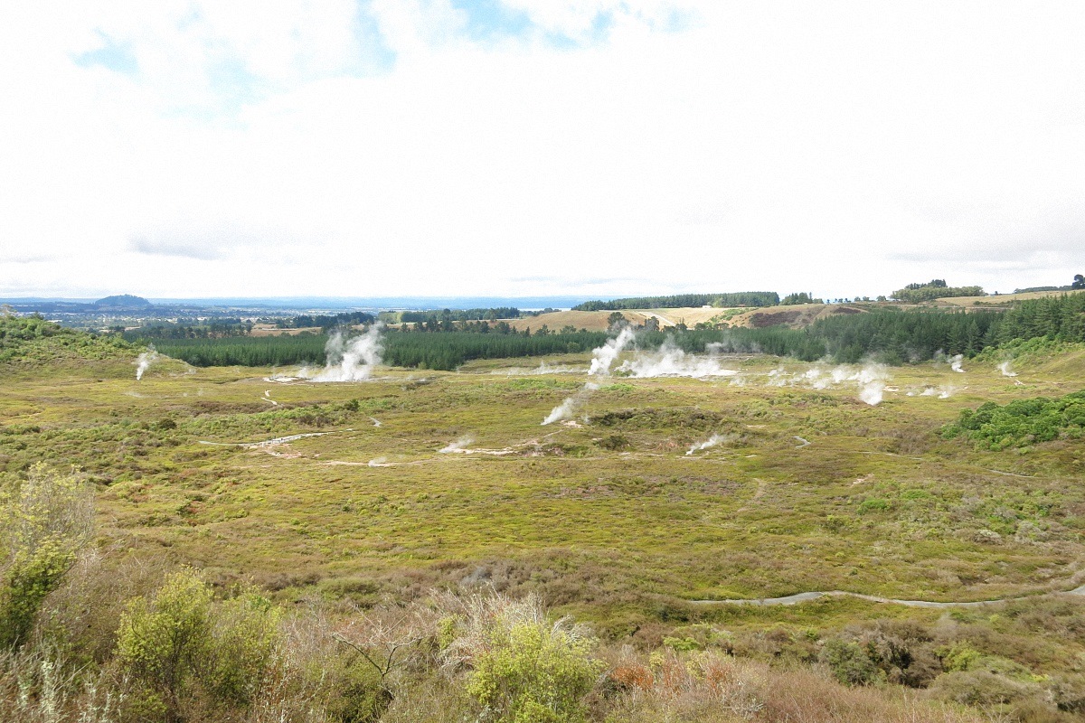 image4