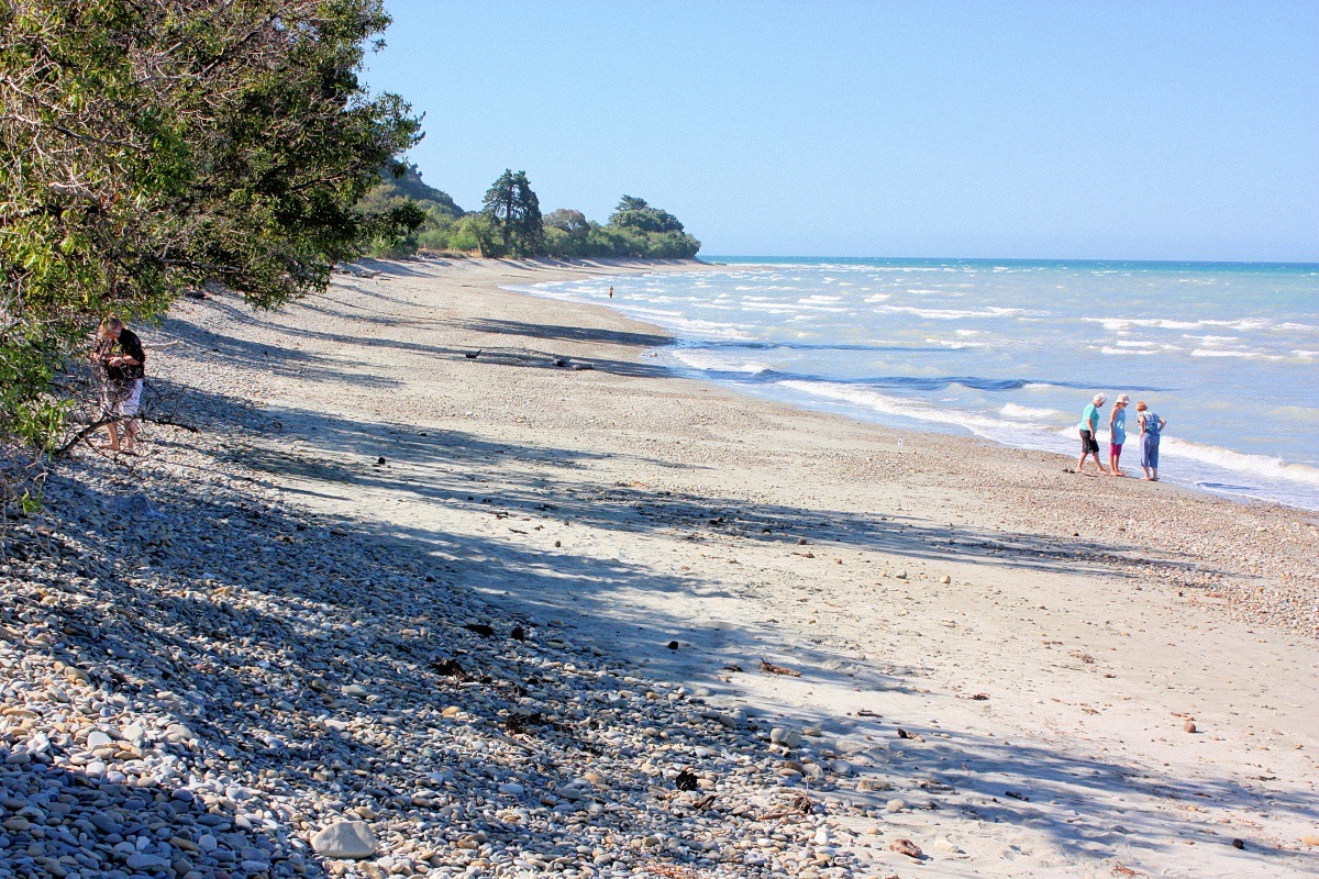 image15