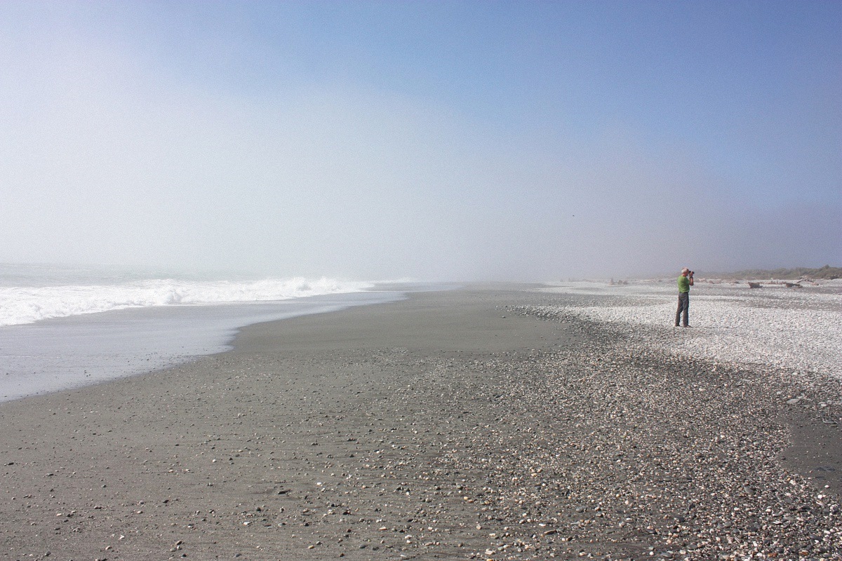 image19