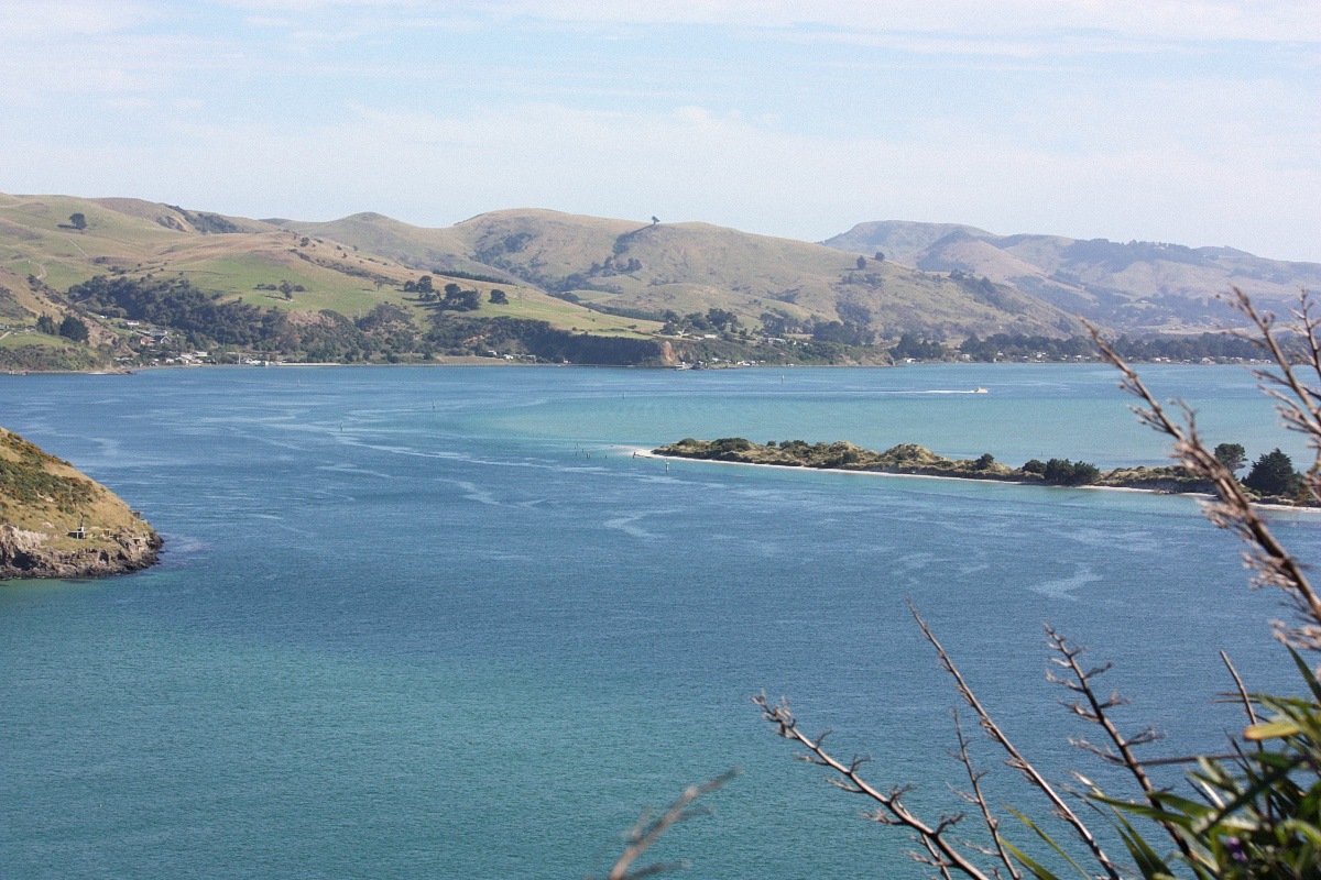 image11