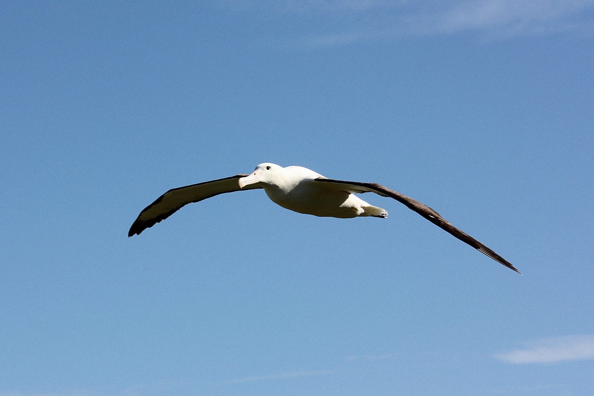 image12