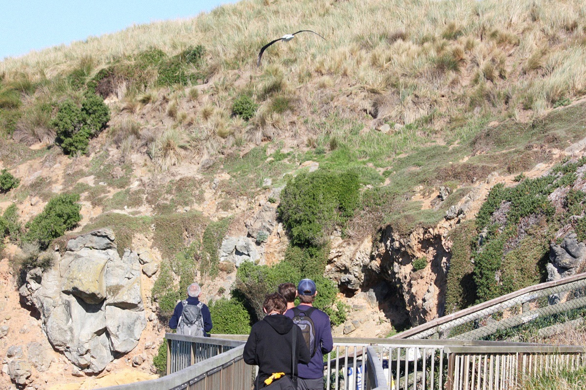 image15