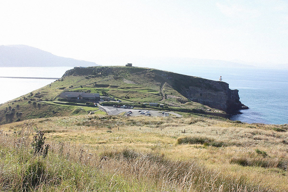 image16