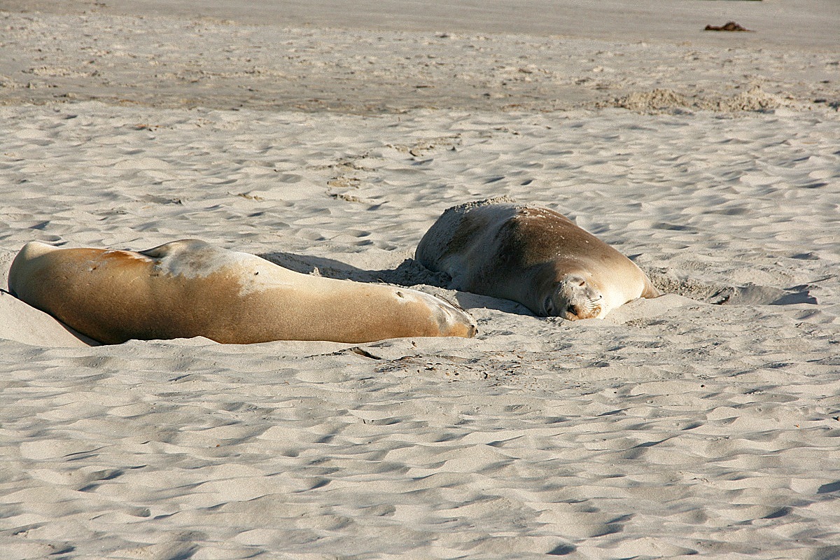 image19