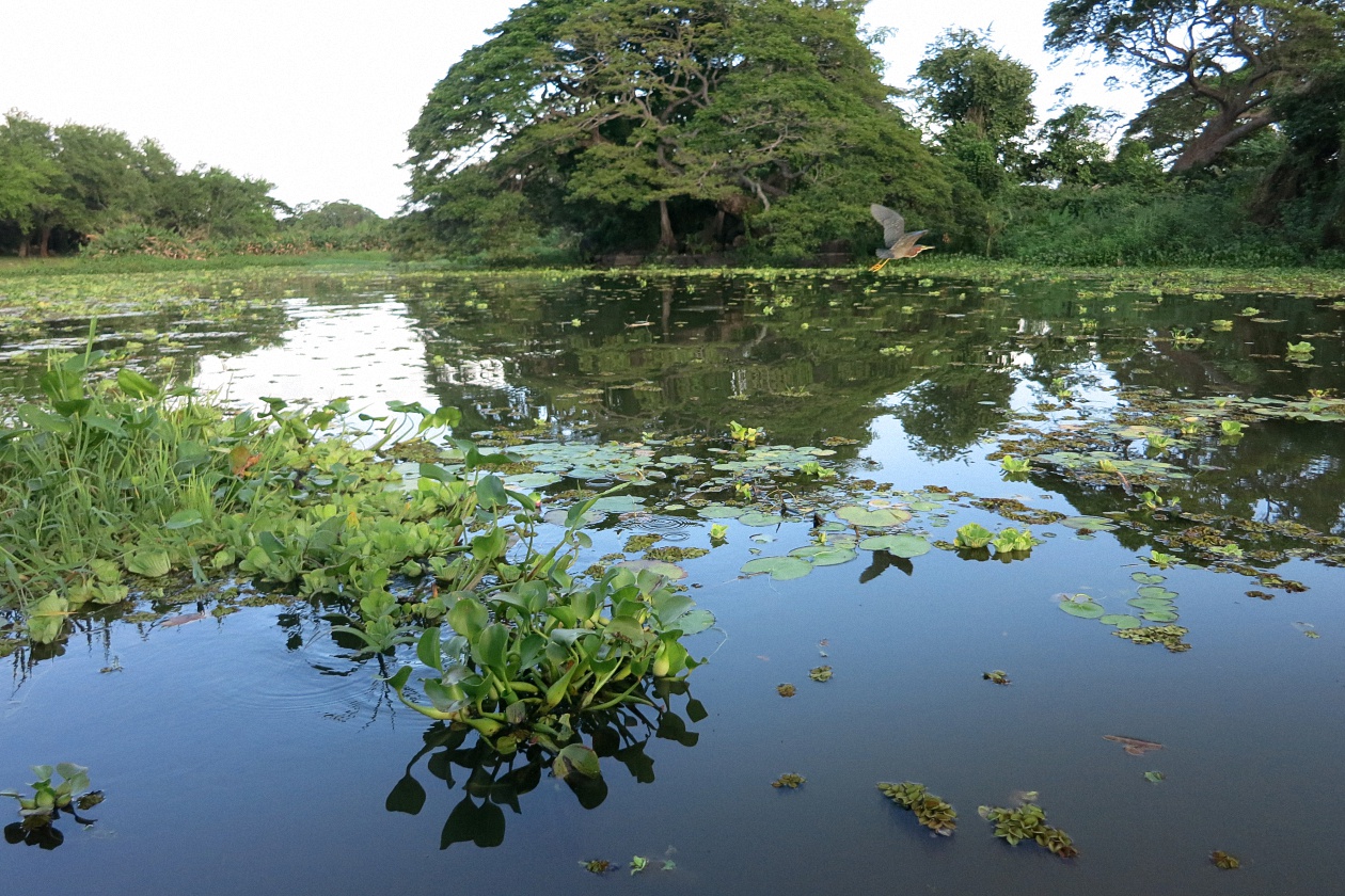 image11