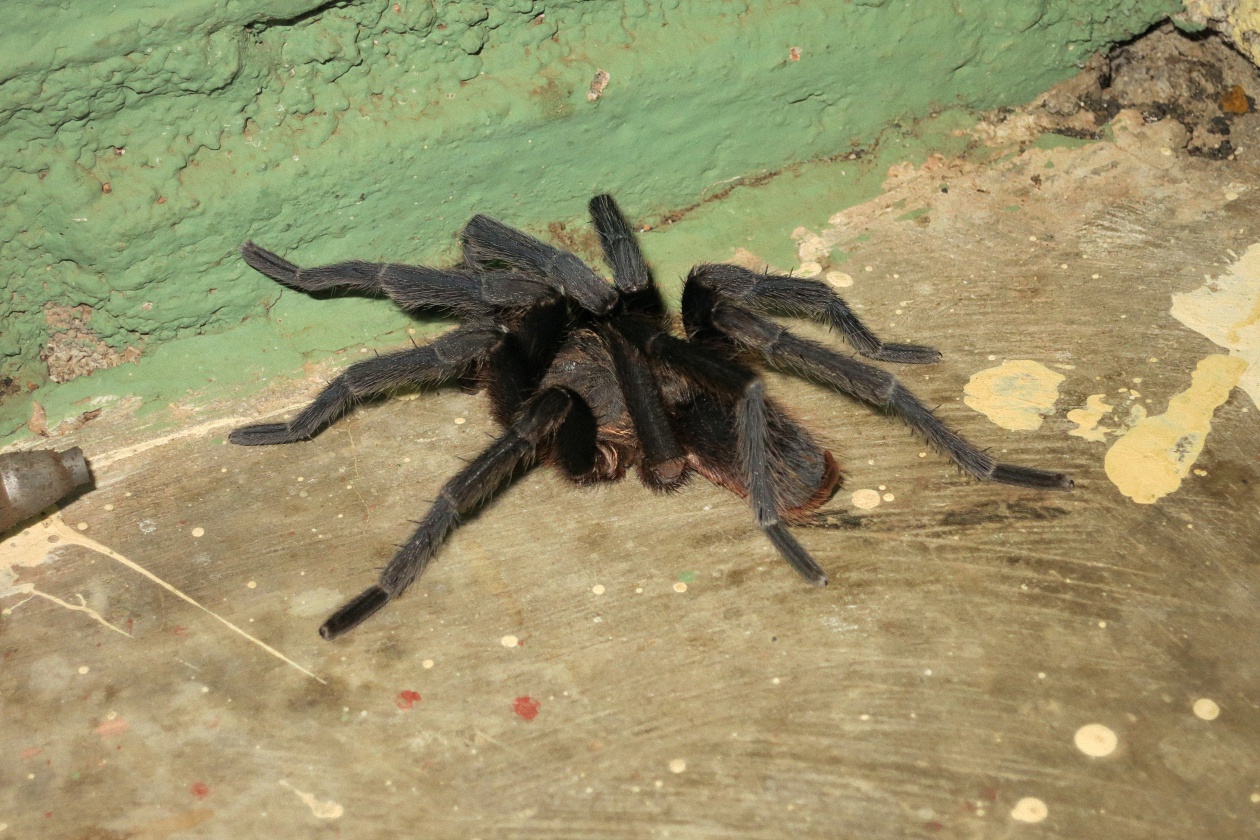 image13