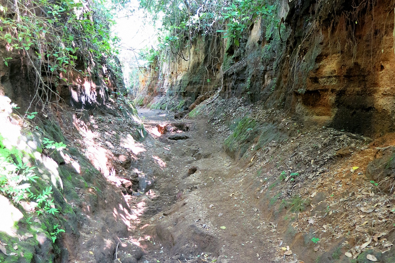 image3