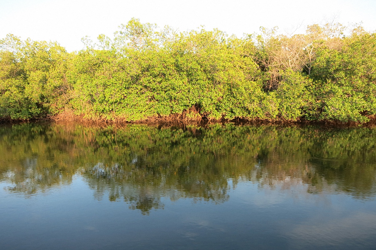 image4