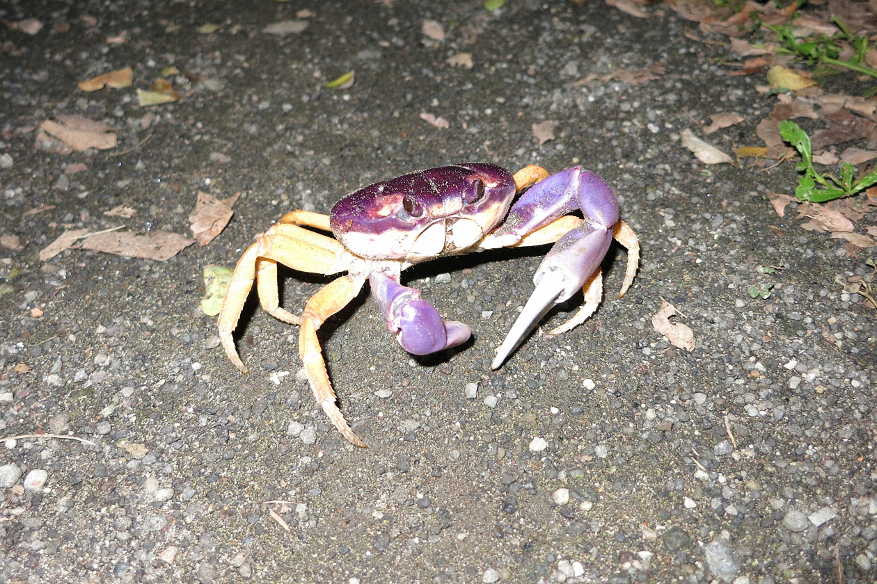 image6