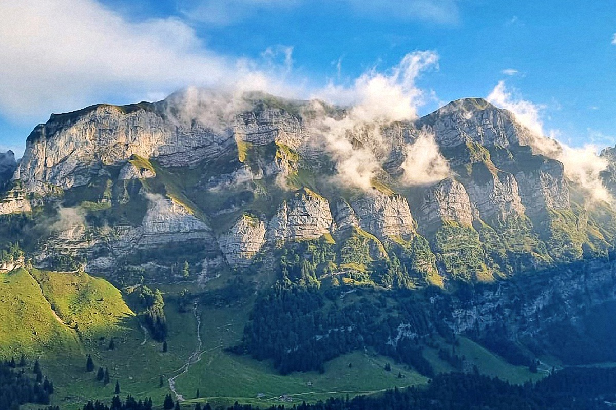 image1