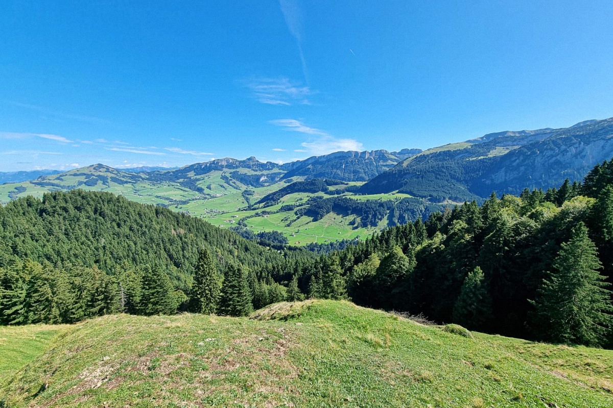 image1