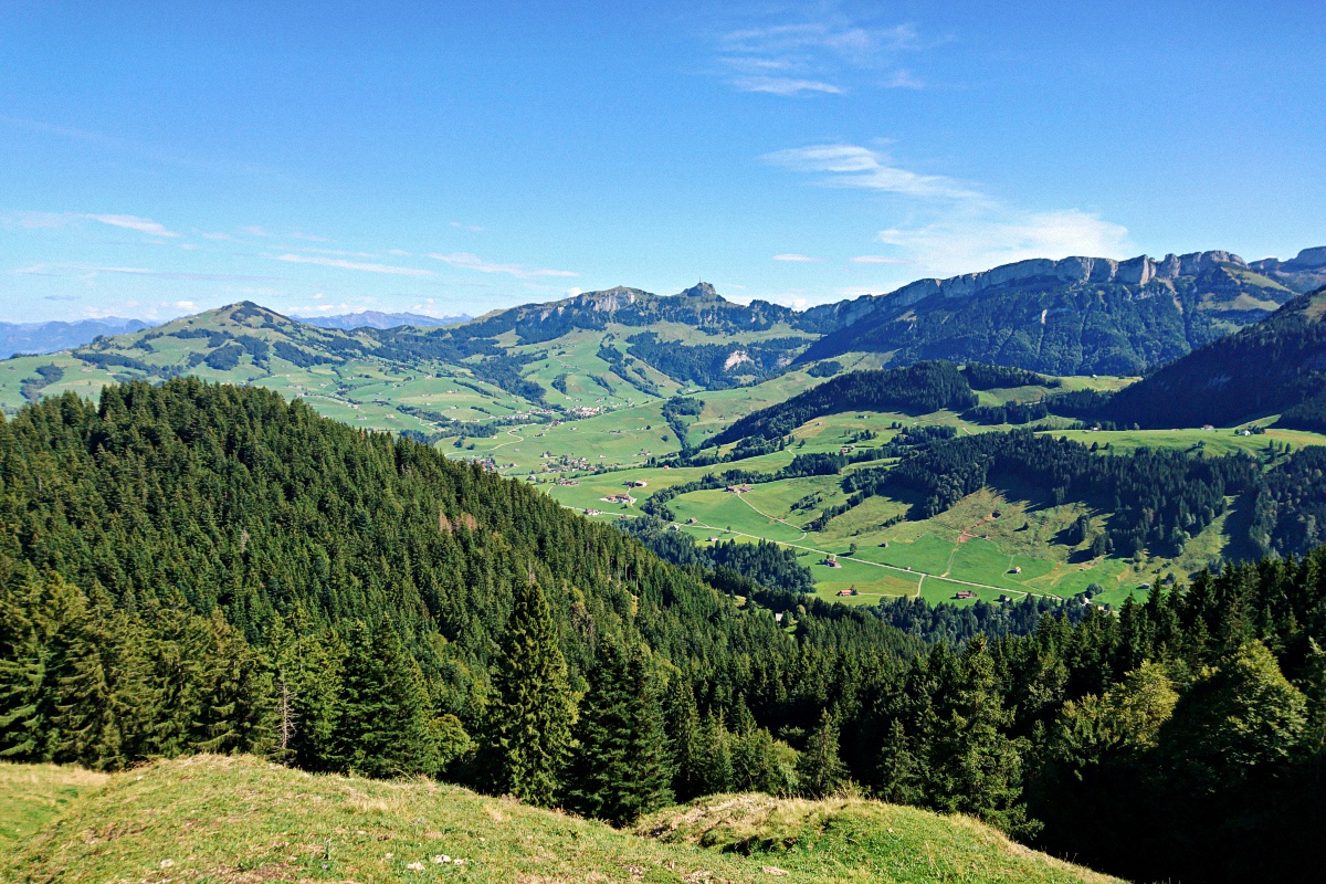 image1
