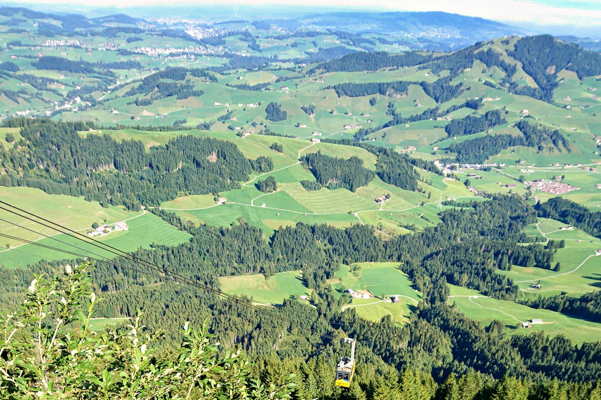 image1