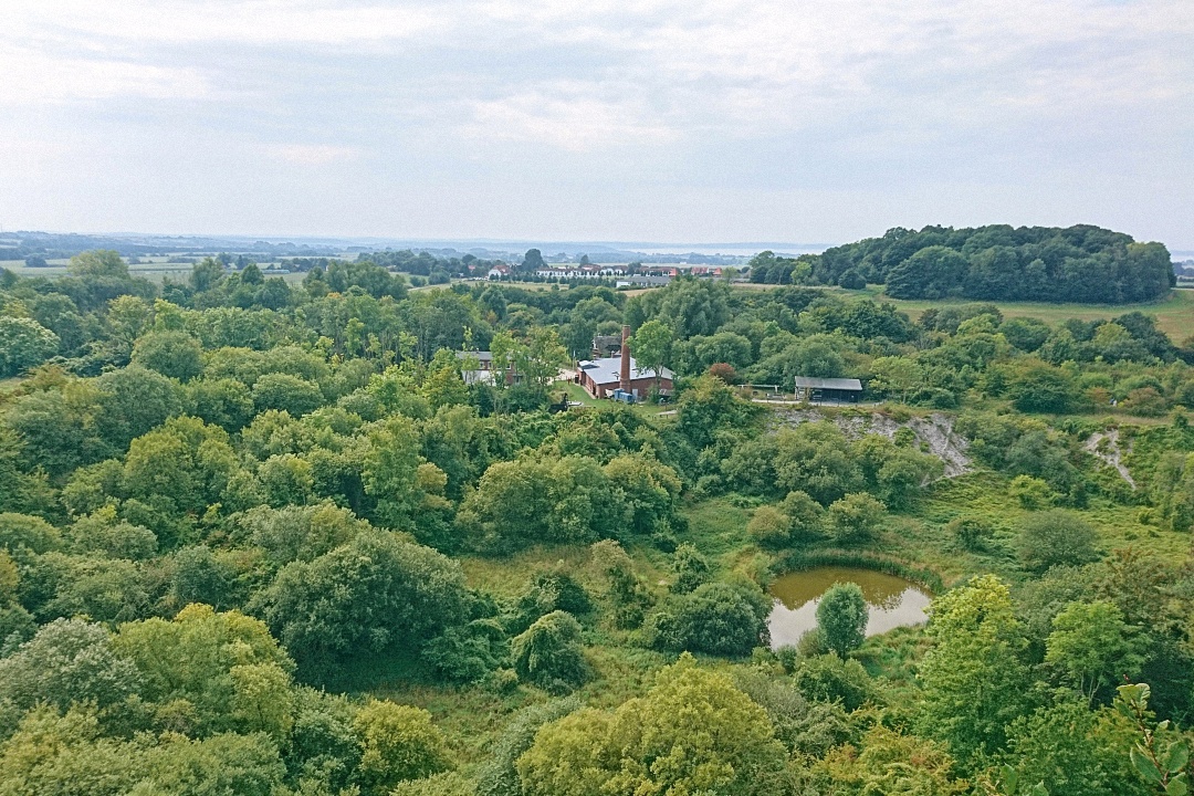 image1