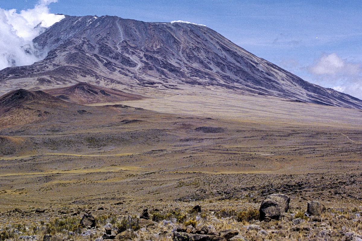 image11