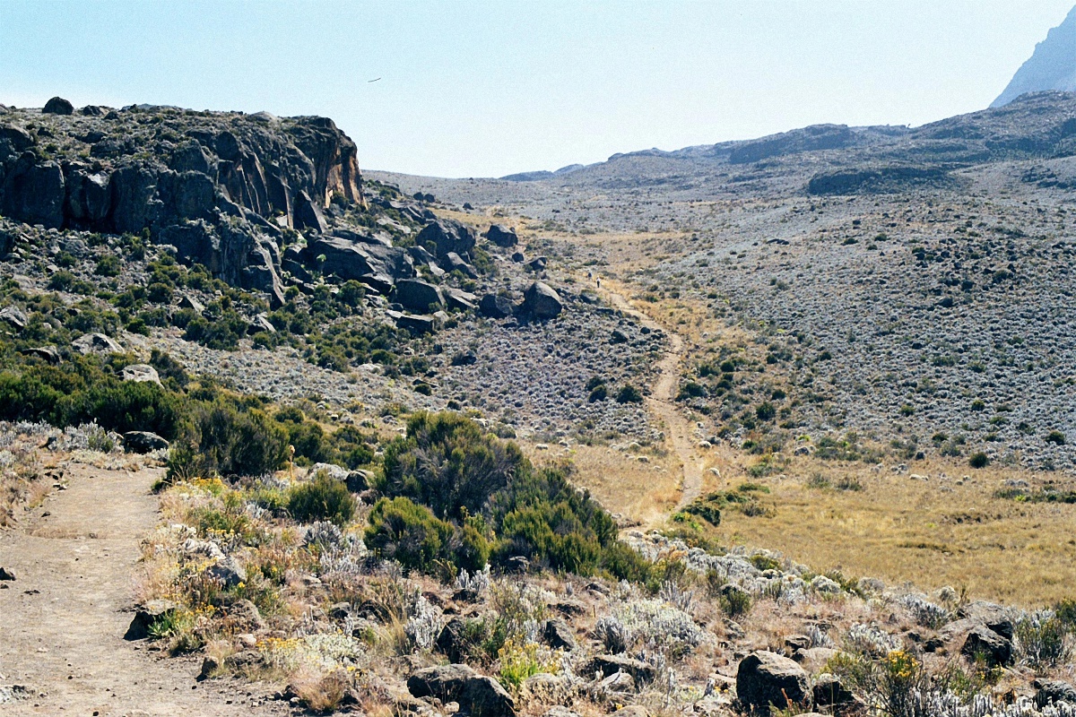 image102