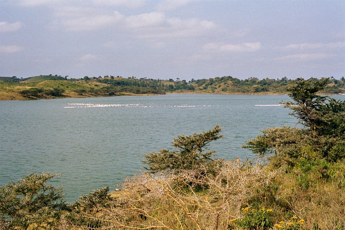 image49