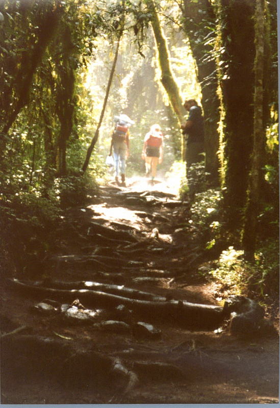 image68