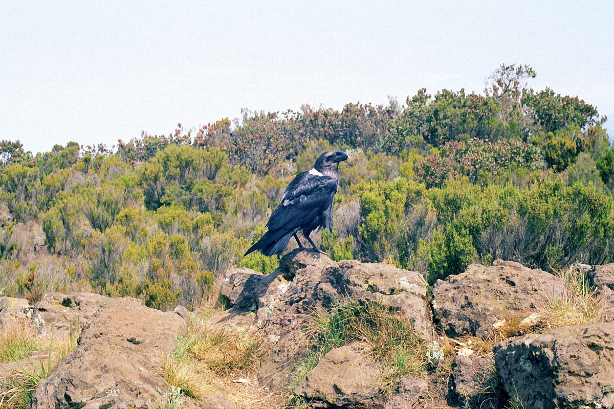 image88