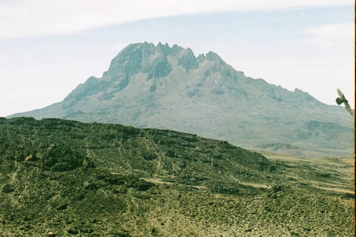 image118